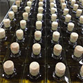 Keleon production facilities 21