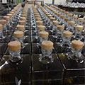Keleon production facilities 22
